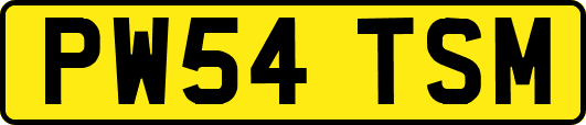 PW54TSM