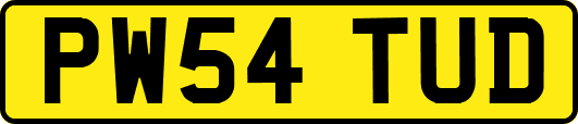 PW54TUD