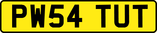 PW54TUT