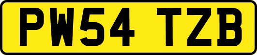 PW54TZB
