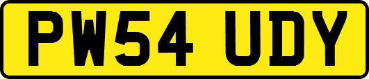 PW54UDY