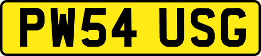 PW54USG