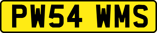 PW54WMS