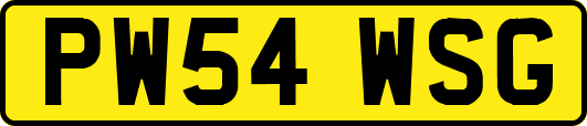 PW54WSG