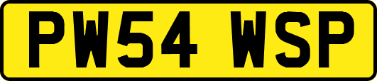 PW54WSP
