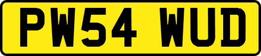 PW54WUD