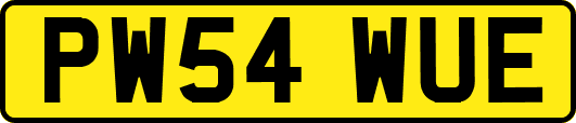 PW54WUE