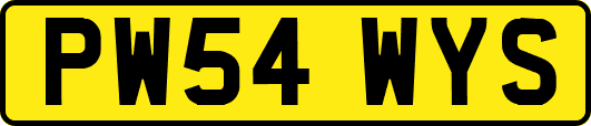 PW54WYS