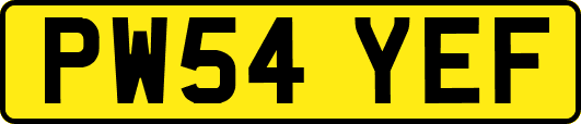 PW54YEF