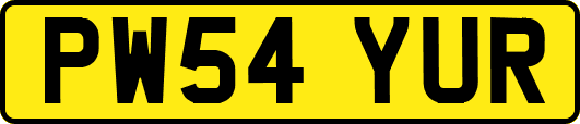 PW54YUR