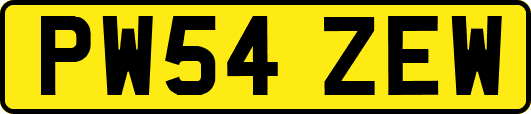 PW54ZEW