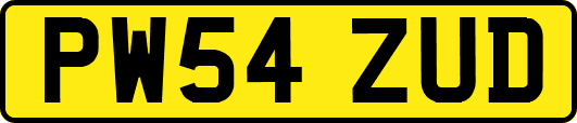 PW54ZUD