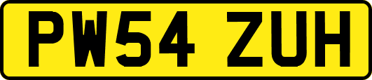 PW54ZUH