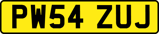 PW54ZUJ