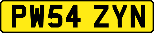 PW54ZYN