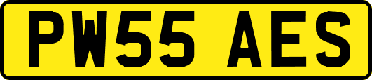 PW55AES