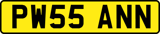 PW55ANN
