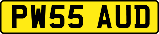 PW55AUD