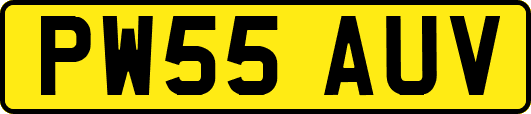 PW55AUV