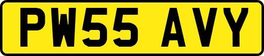 PW55AVY