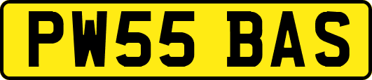 PW55BAS