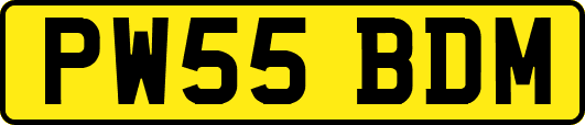 PW55BDM