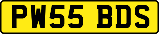 PW55BDS
