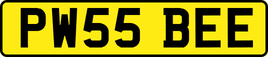 PW55BEE