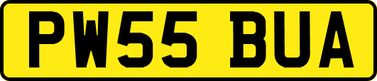 PW55BUA