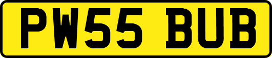 PW55BUB