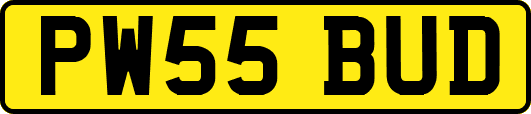 PW55BUD
