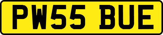 PW55BUE