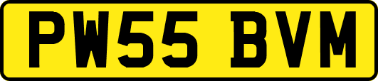 PW55BVM