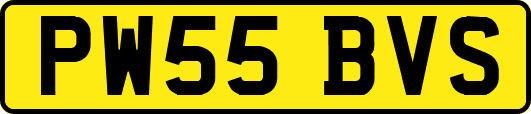 PW55BVS