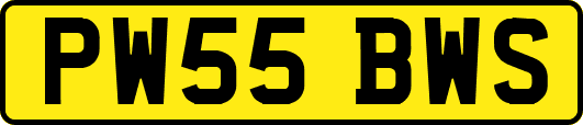 PW55BWS