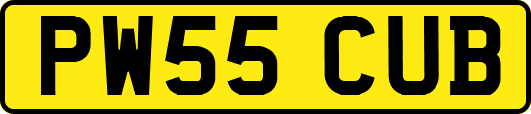 PW55CUB