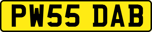 PW55DAB