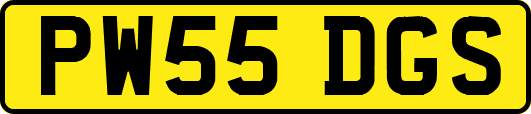 PW55DGS