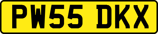 PW55DKX