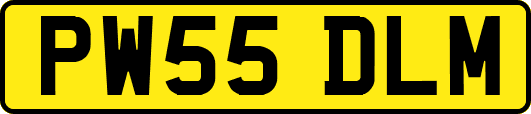 PW55DLM