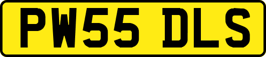 PW55DLS