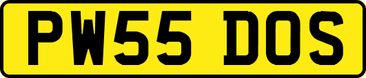 PW55DOS