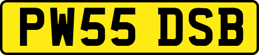 PW55DSB