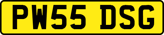 PW55DSG