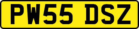 PW55DSZ