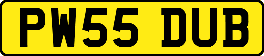 PW55DUB