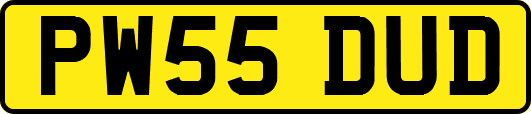 PW55DUD