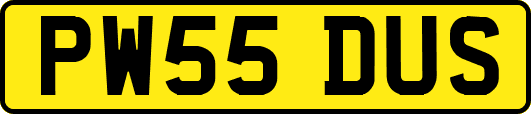 PW55DUS