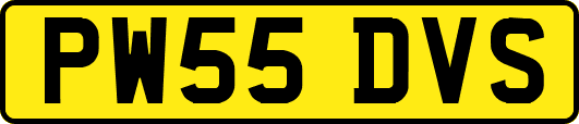 PW55DVS