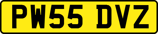 PW55DVZ